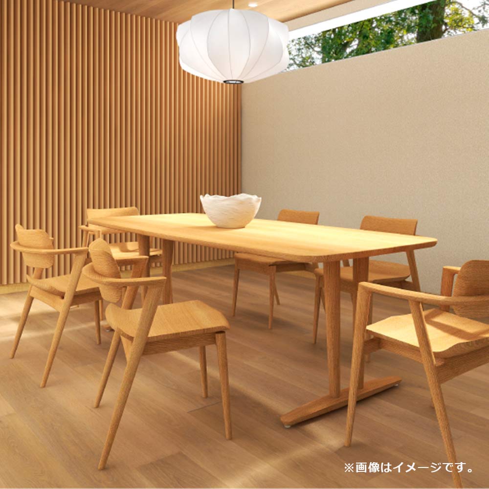 飛騨産業 ダイニングチェア(肘付き)「SEOTO-EX」 板座 アームチェア 全2色【受注生産品】