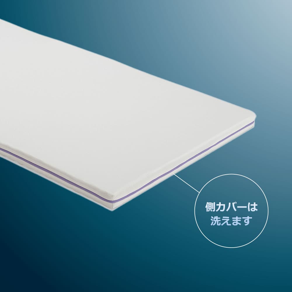 敷ふとん「ズカンフトン」シングルサイズ FranceBed(フランスベッド)