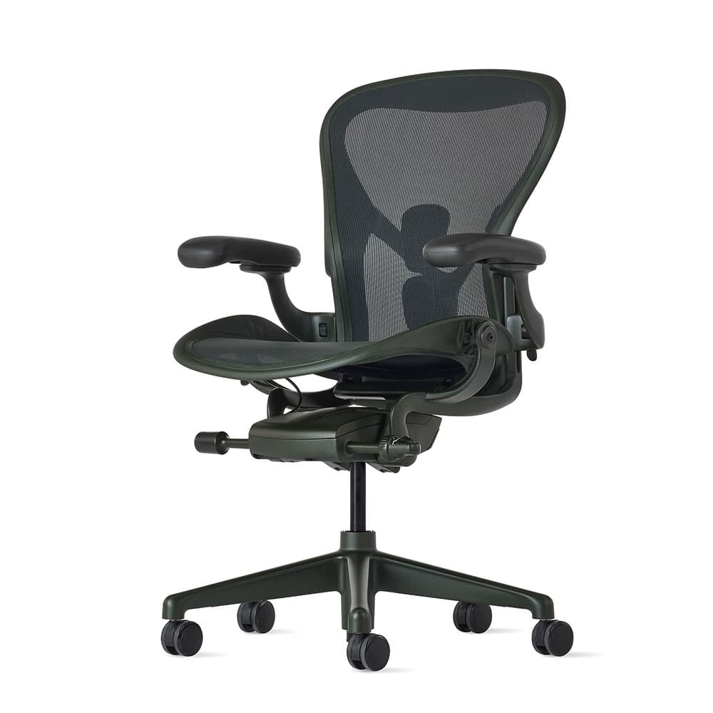 HermanMiller(ハーマンミラー)「アーロンチェア リマスタード」 ジャスパー Bサイズ
