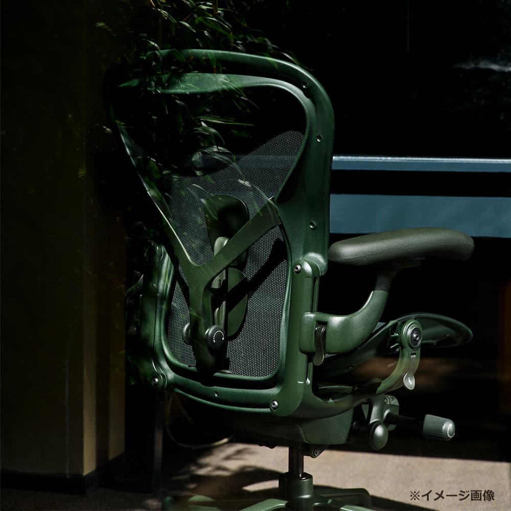 HermanMiller(ハーマンミラー)「アーロンチェア リマスタード」 ジャスパー Bサイズ