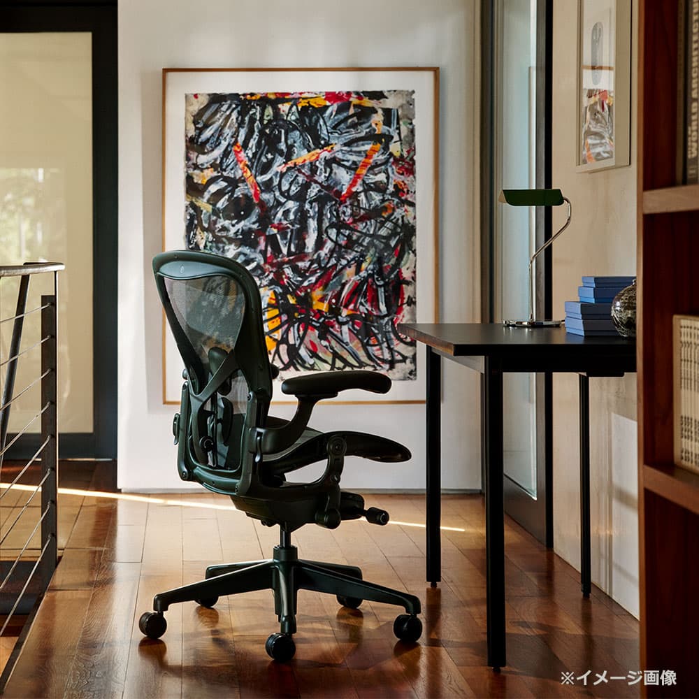 HermanMiller(ハーマンミラー)「アーロンチェア リマスタード」 ジャスパー Bサイズ