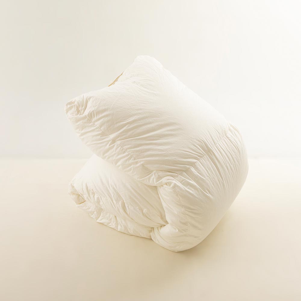 【まとめ買い特典 2枚ご購入で10%OFF】FranceBed(フランスベッド)羽毛布団「セレブレイト」2枚セット 全3サイズ サービスカバー付き