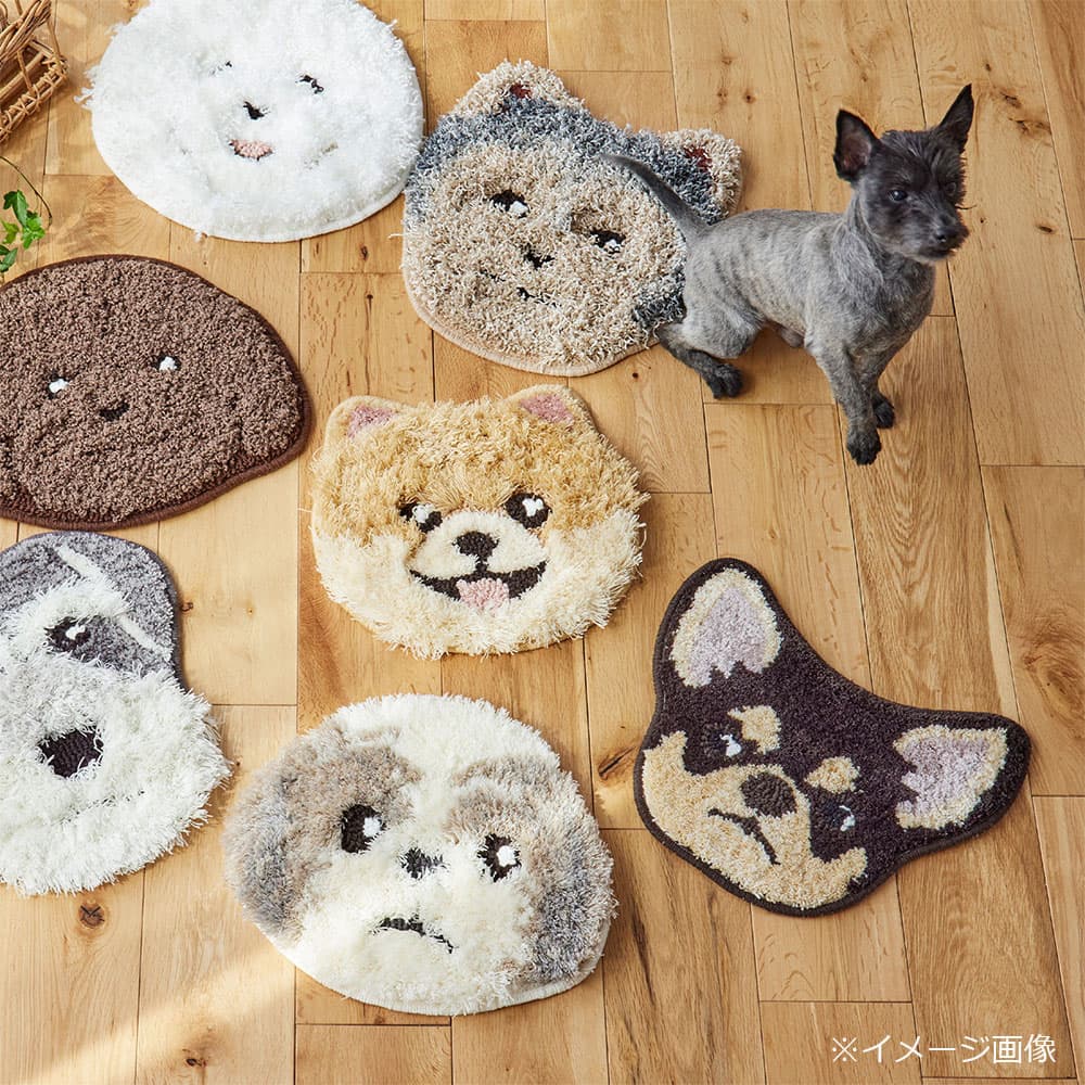 チェアパッド 「イヌカオ」#50チワワ