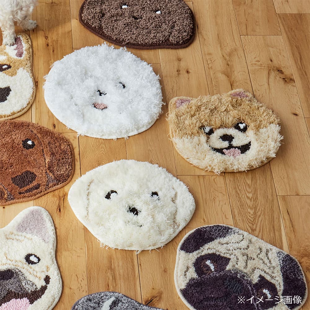 チェアパッド 「イヌカオ」#53ポメ