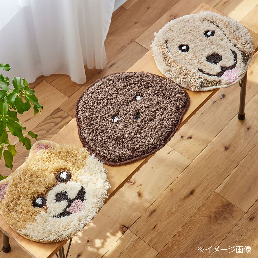 チェアパッド 「イヌカオ」#61トイプー