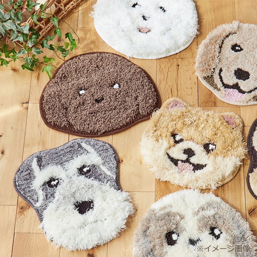 チェアパッド 「イヌカオ」#61トイプー