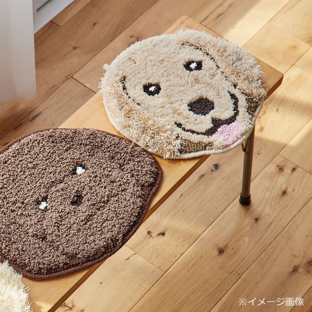 チェアパッド 「イヌカオ」#58ゴールデン