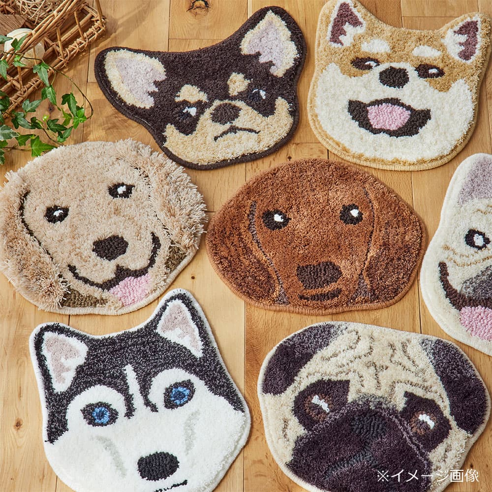 チェアパッド 「イヌカオ」#58ゴールデン