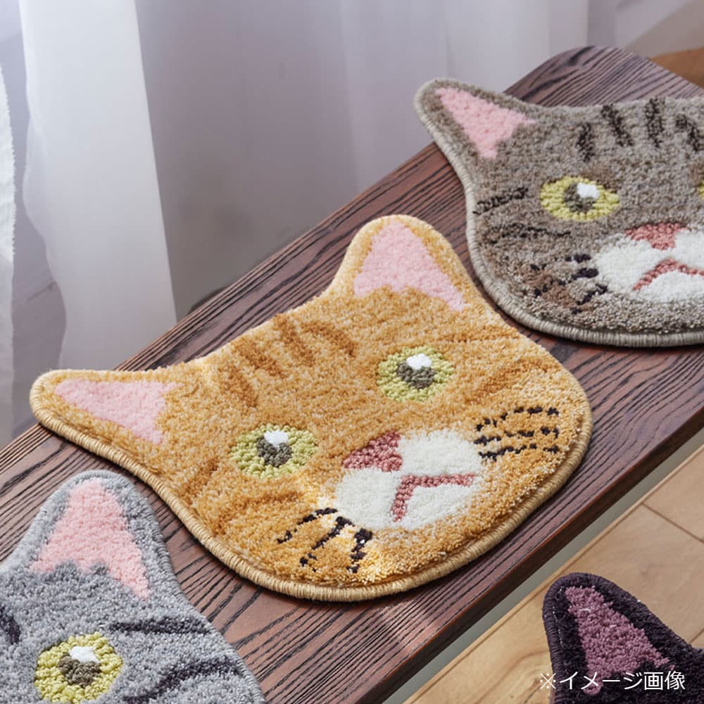 チェアパッド 「ネコカオ」#46チャトラ