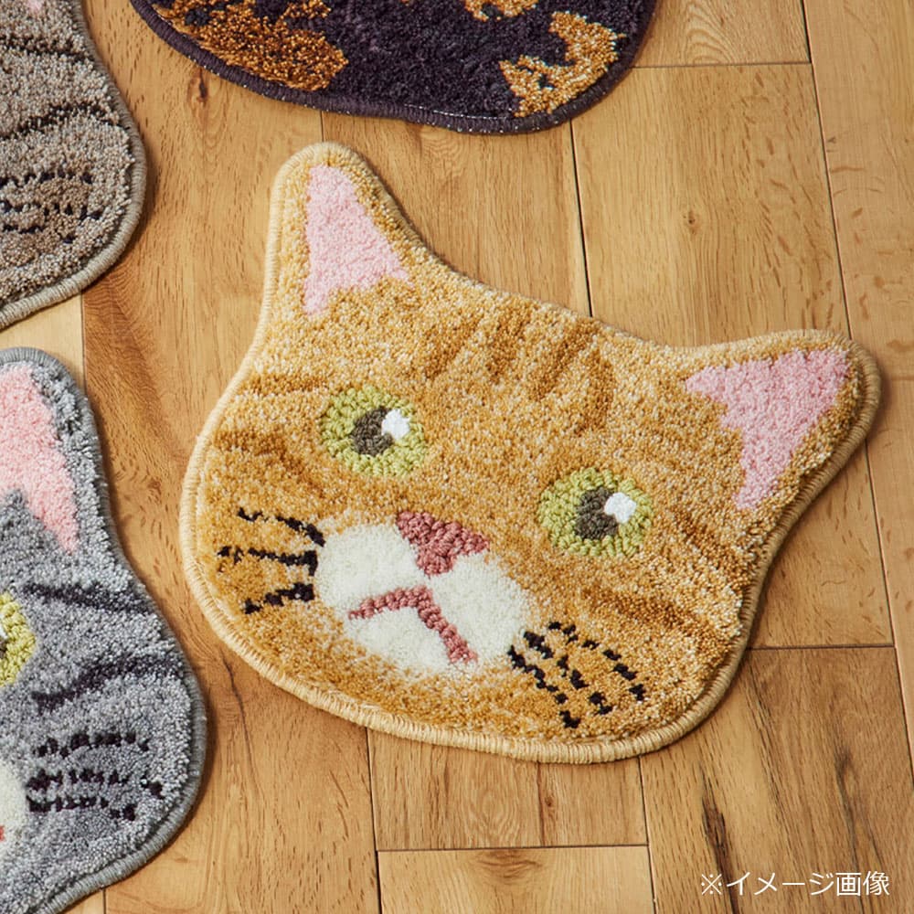 チェアパッド 「ネコカオ」#46チャトラ