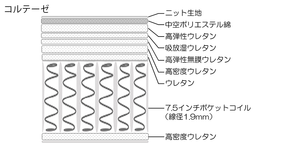 コルテーゼ内部構造図