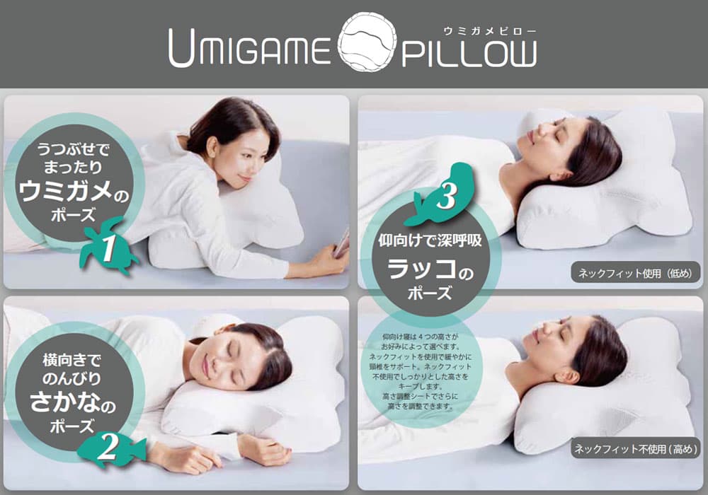 ウミガメピローの寝姿勢3つのポーズ
