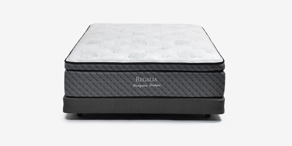 ボトム「プリメーラ」