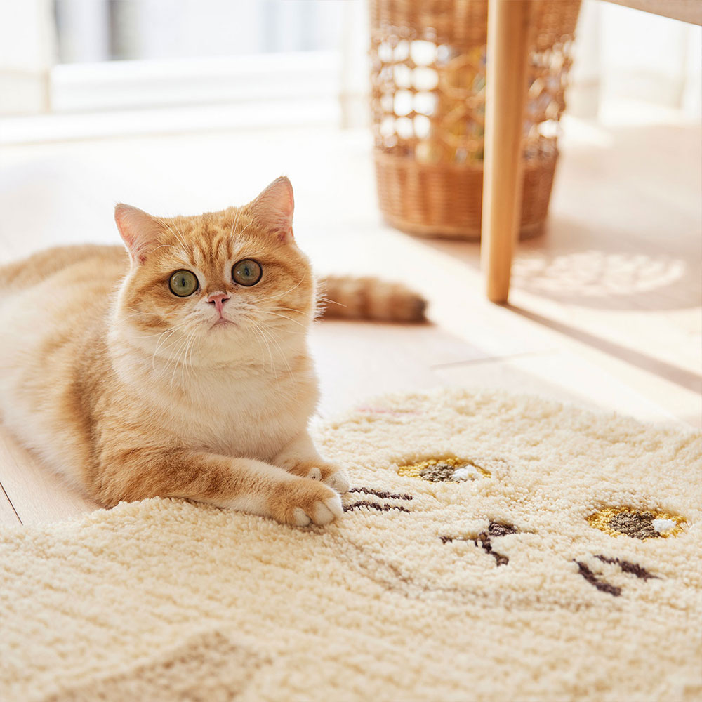 ラグ「スコスワリ」クリーム 猫と一緒に