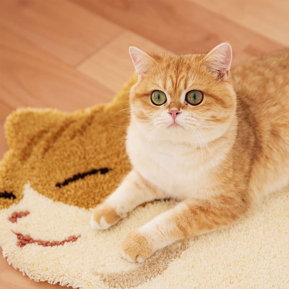 ラグ「コウバコスワリ」チャトラ