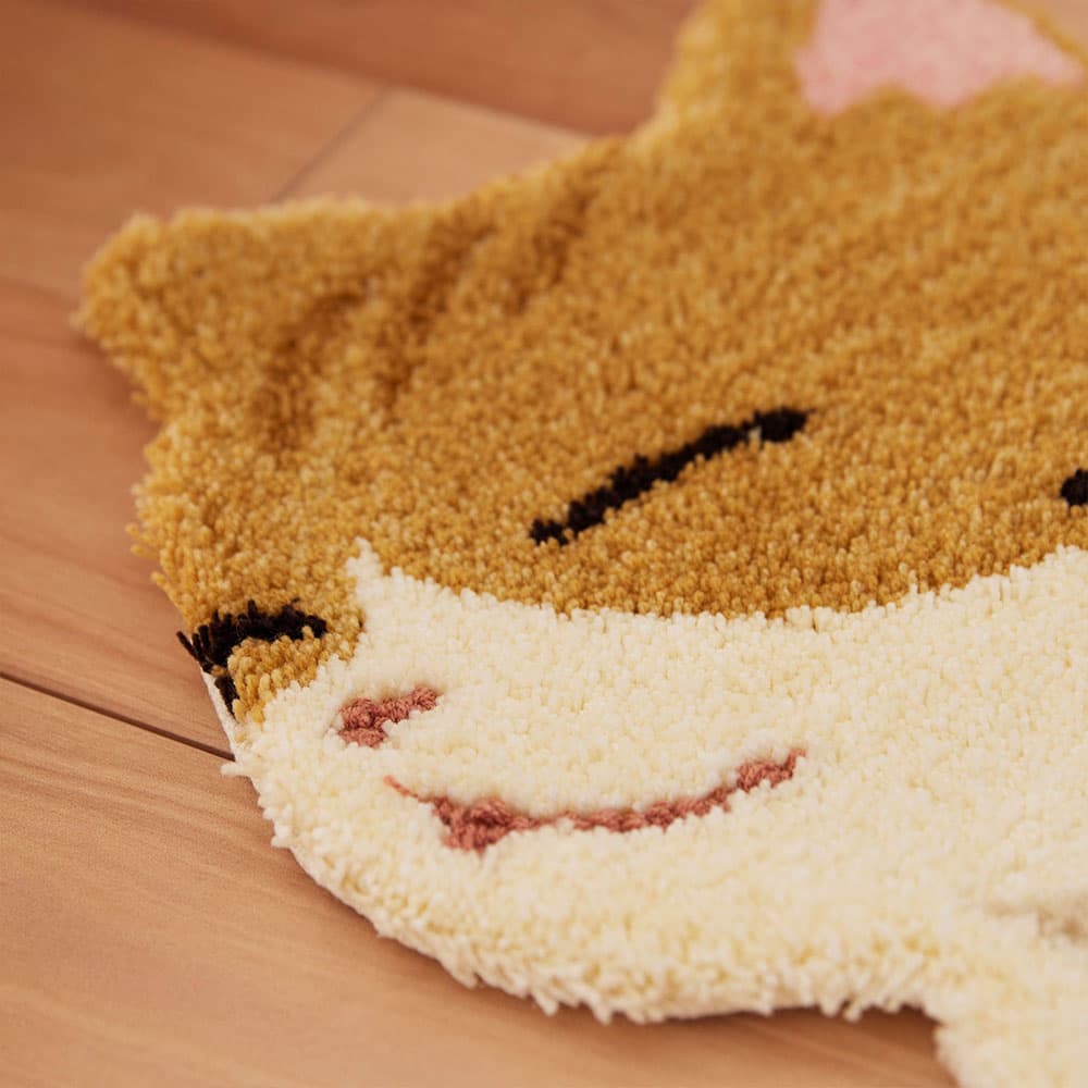 ラグ「コウバコスワリ」チャトラ顔アップ