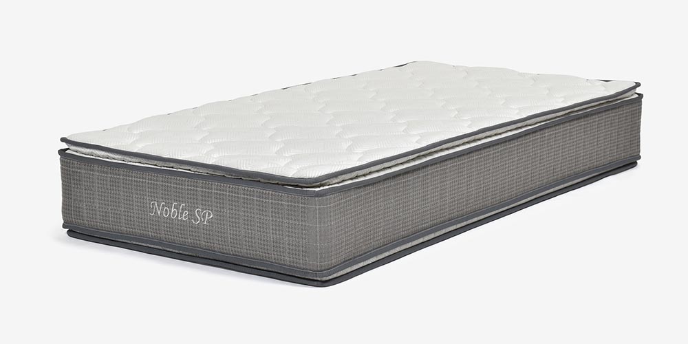 ノーブルSP 全体イメージ