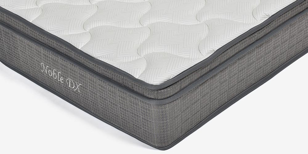 ノーブルDX 側面デザイン