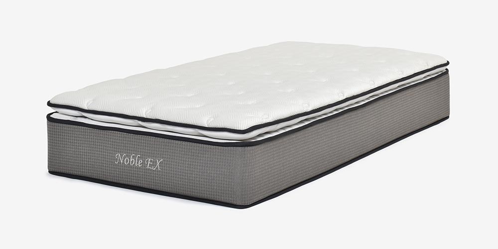 ノーブルEX 全体イメージ