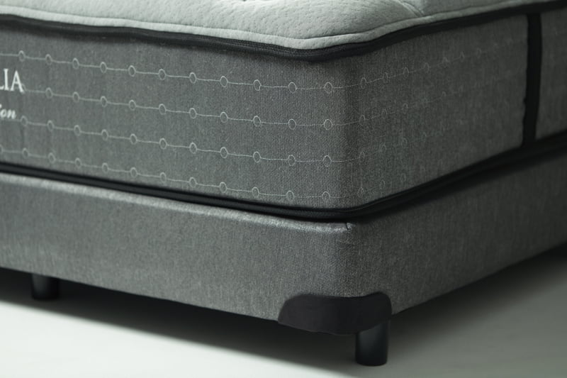 「REGALIA」側面写真