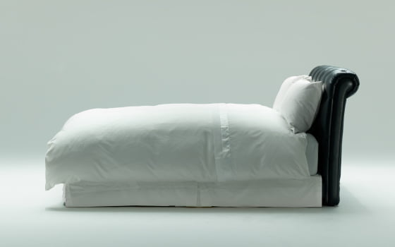 レガリア イメージ写真